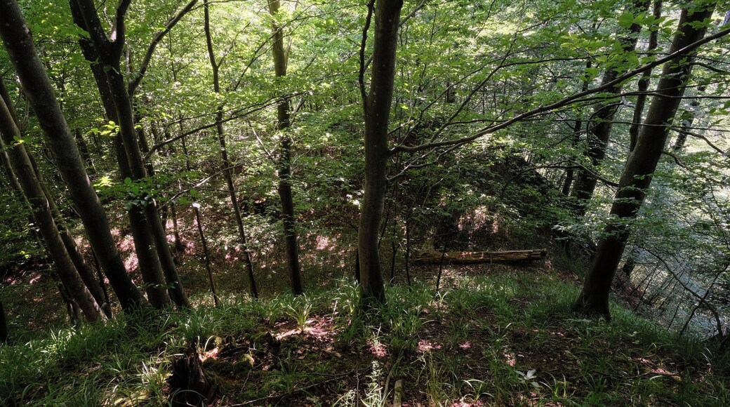 Demolished castle Hasenstein, Horgenzell-Pfärrenbach, district Ravensburg, Baden-Württemberg, Germany