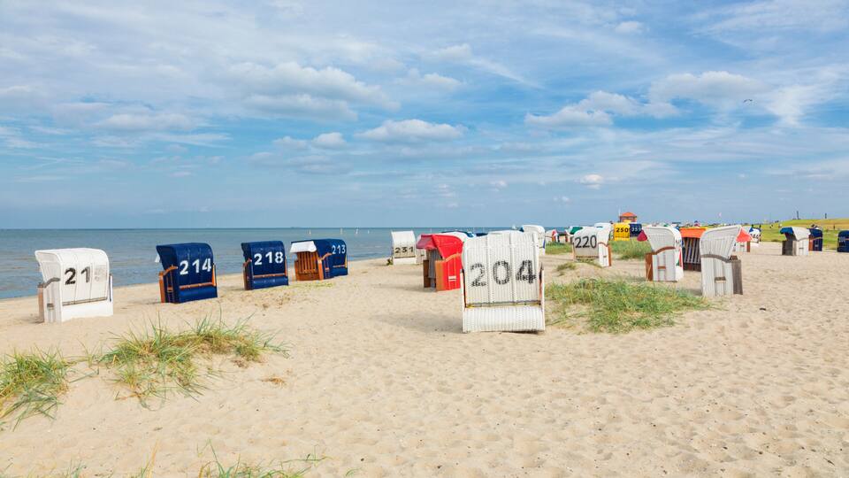 Beach huts numbered 21 to 230, a sandy beach, and the ocean in the background.