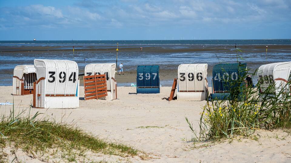 Beach chairs numbered 394, 397, and 396 on a sandy beach with the ocean in the background.