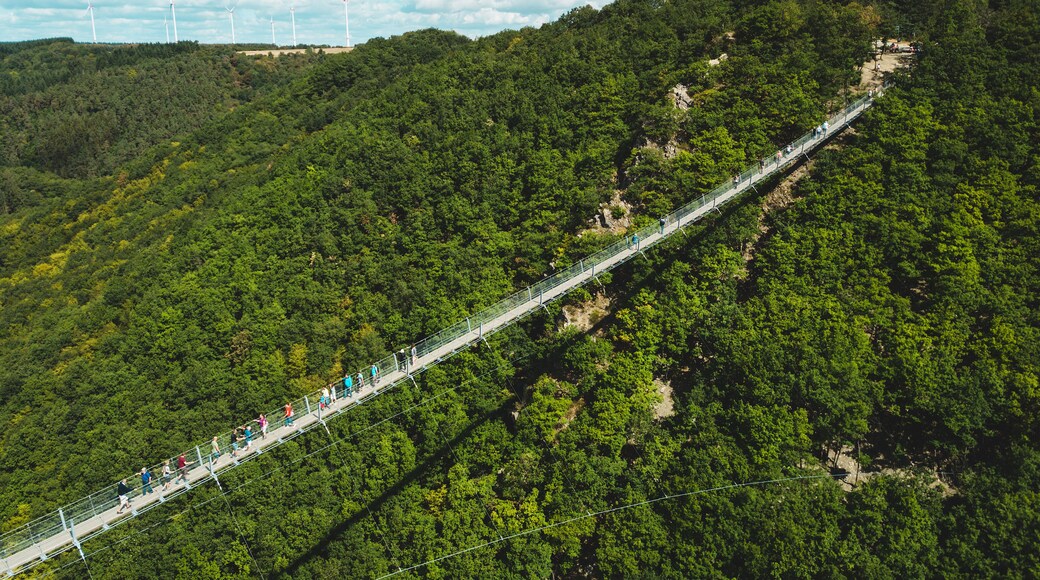 Luftbild der Hängeseilbrücke Geierlay