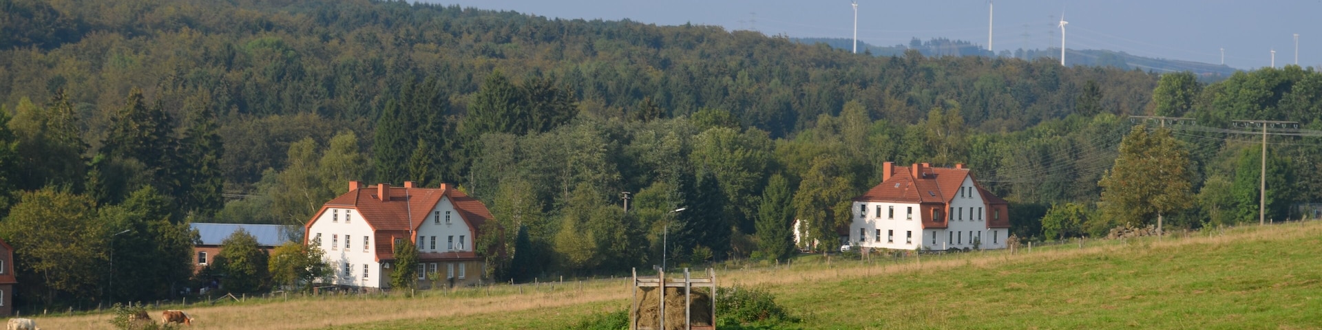A rural landscape with two white houses with red roofs, a grassy field, and a forested hill in the background.