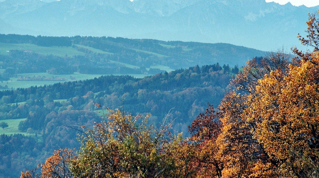 Hoher Peißenberg, view to the Alpine