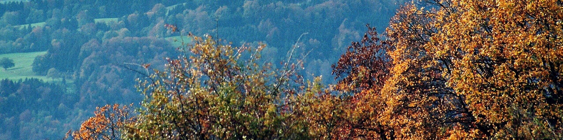 Hoher Peißenberg, view to the Alpine