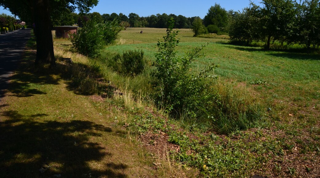 Quellgraben des Ihlenbek südlich der Schillerstraße in Hohenlockstedt