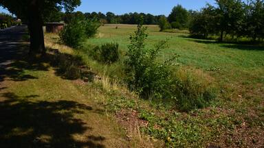 Quellgraben des Ihlenbek südlich der Schillerstraße in Hohenlockstedt