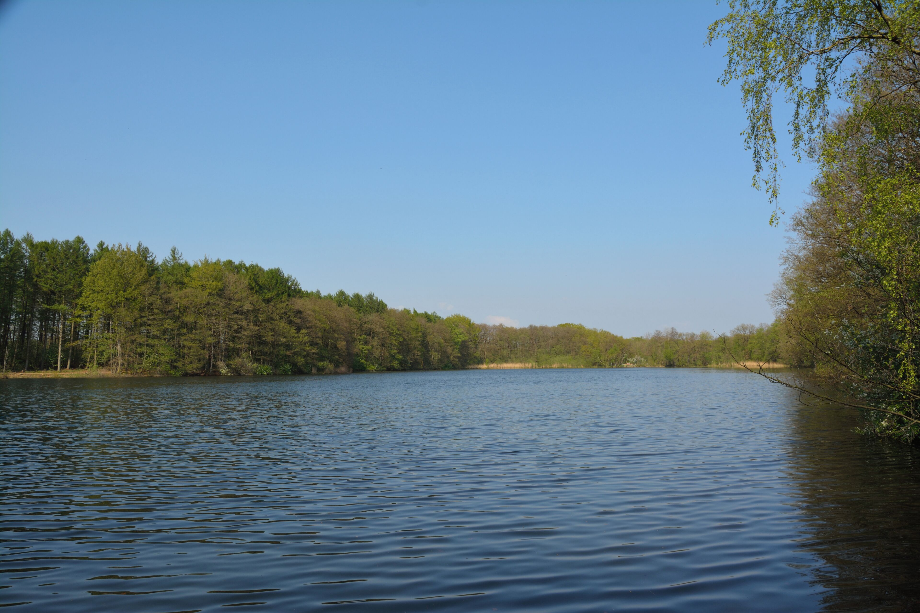 Landschaftsschutzgebiet "Lohmühlenteich" in Hohenlockstedt, Schleswig-Holstein.