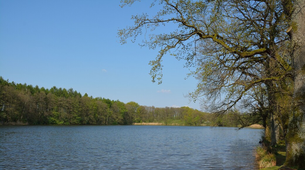 Landschaftsschutzgebiet "Lohmühlenteich" in Hohenlockstedt, Schleswig-Holstein.