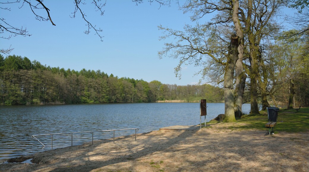 Landschaftsschutzgebiet "Lohmühlenteich" in Hohenlockstedt, Schleswig-Holstein.