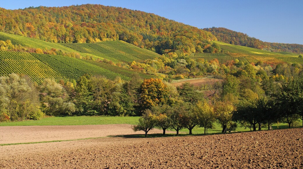 Hohenhaslach 10/2012