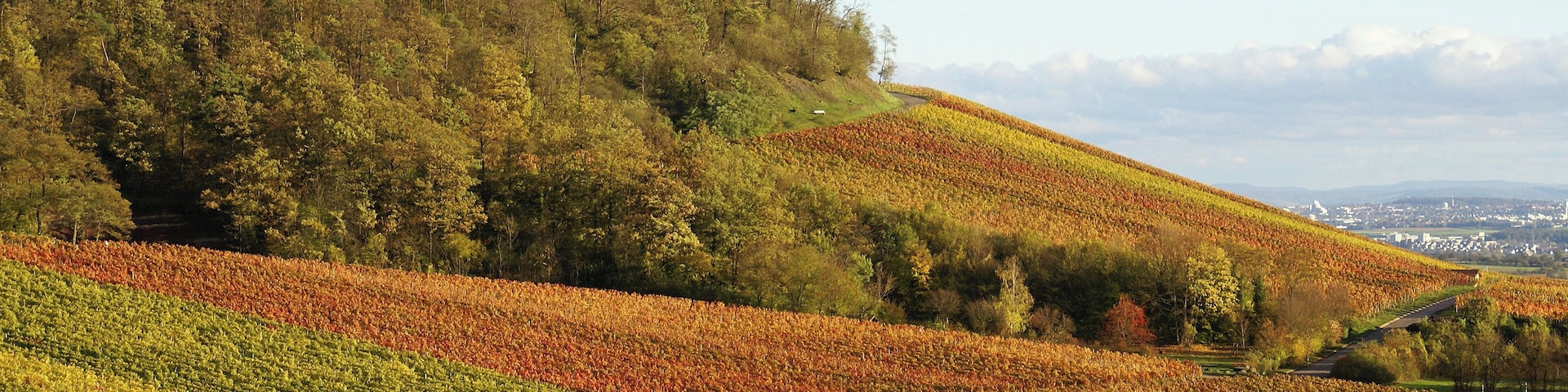 Hohenhaslacher Weinberg 11/2013
