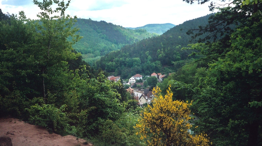 Hinterweidenthal, view from the devils table to the village