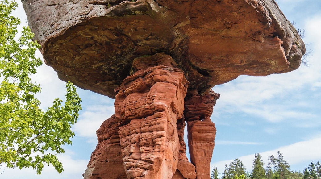 Natural monument number: ND-7340-241 Designation: Teufelstisch Place: Rhineland-Palatinate, administrative district Southwest Palatinate, Hauenstein, west of Hinterweidenthal Description: table formed red sandstone rock