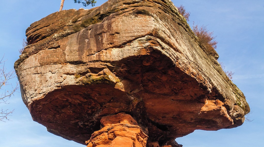 Title: The sandstone rock 'Teufelstisch' (Devil's Table) near Hinterweidenthal Type: Natural monument Number: ND-7340-241 Designation: Devil's Table Location: Kaltenbach (to the west of Hinterweidenthal) Place: Hinterweidenthal, Collective municipality Hauenstein, District Südwestpfalz, Rhineland-Palatinate, Federal Republic of Germany Description: Table-shaped Bunter sandstone rock (Mushroom rock)