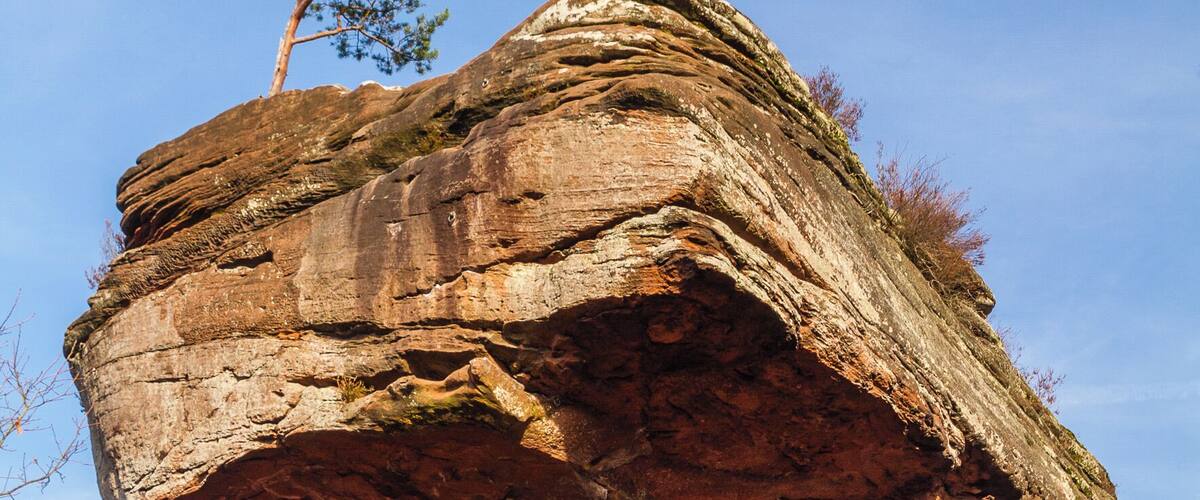 Title: The sandstone rock 'Teufelstisch' (Devil's Table) near Hinterweidenthal Type: Natural monument Number: ND-7340-241 Designation: Devil's Table Location: Kaltenbach (to the west of Hinterweidenthal) Place: Hinterweidenthal, Collective municipality Hauenstein, District Südwestpfalz, Rhineland-Palatinate, Federal Republic of Germany Description: Table-shaped Bunter sandstone rock (Mushroom rock)