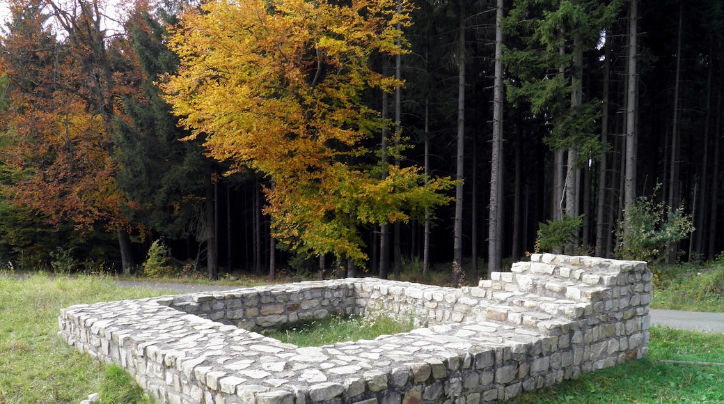 Preserved and reconstructed foundations of a square stone tower with 5.60 m on each side and a wall thickness of 100 cm. The tower site is located approximately 22 m behind the moat of the limes, between this and the northern corner of the fortlet Hillscheid.