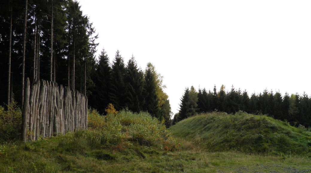 Bank and ditch of the limes with a reconstructed palisade at Hillscheid