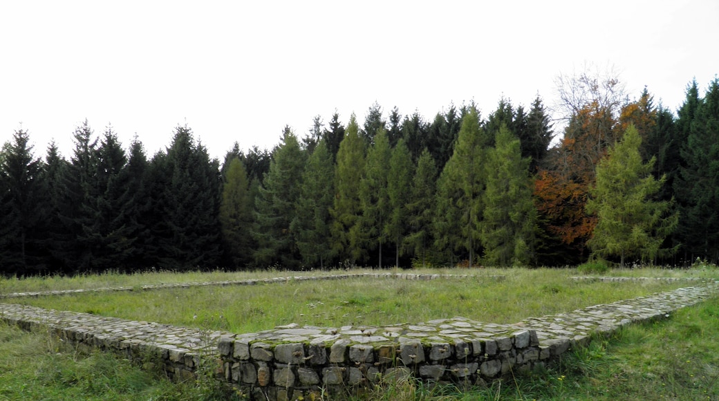 Reconstructed foundations of Kleinkastell (Fortlet) Hillscheid