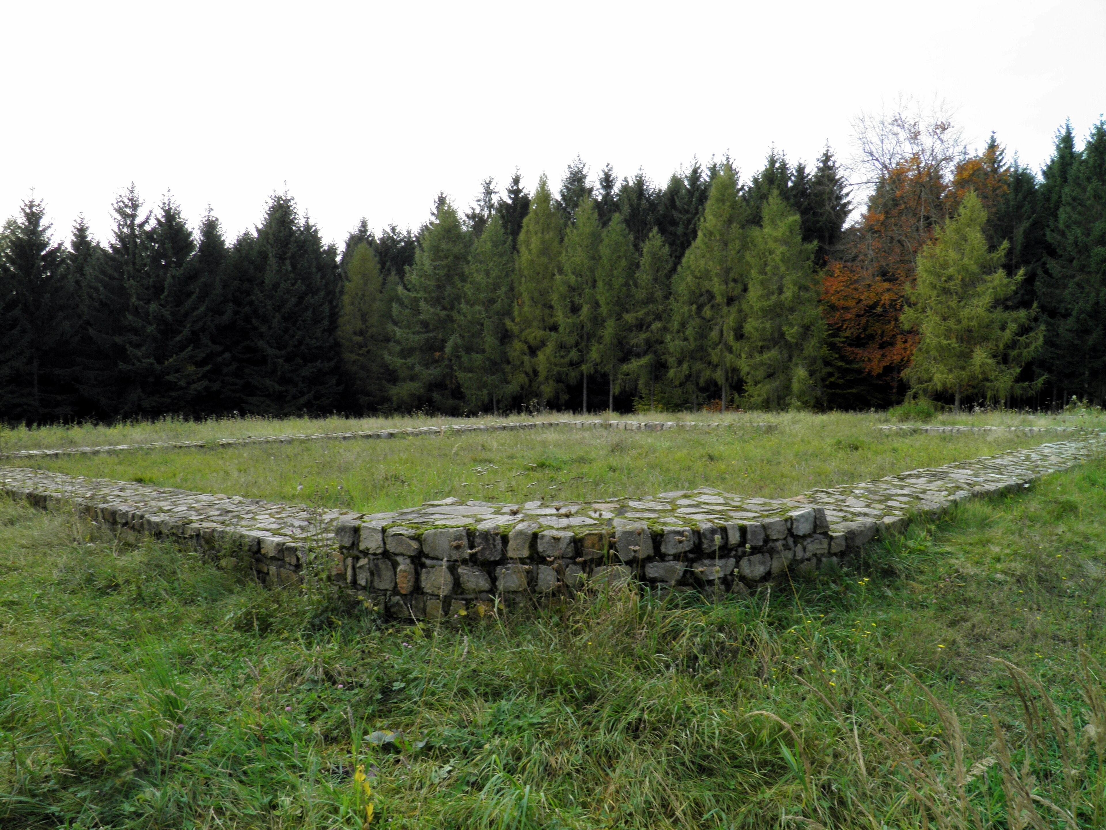 A stone wall in a grassy field with a forest in the background.