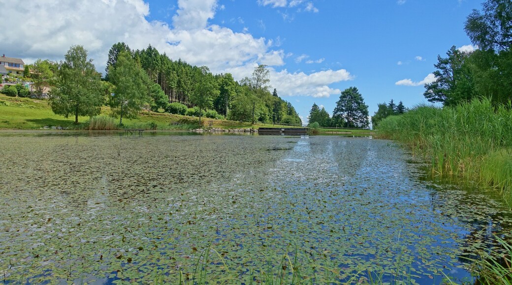 Hierholzer Weiher
