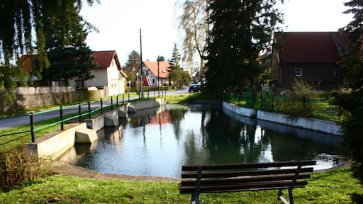 der Dorfteich in Ritterode bei Hettstedt