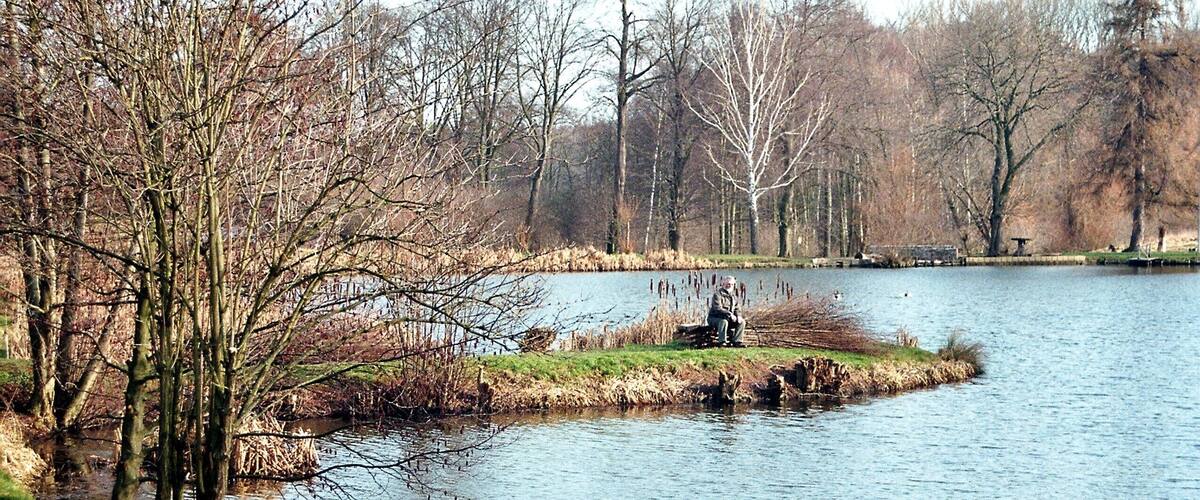 A calm lake surrounded by trees and a grassy area.