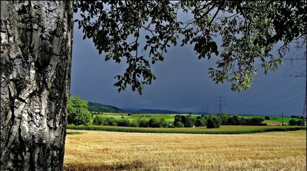 Gewitterstimmung ĂŒber dem Kandertal. (2)