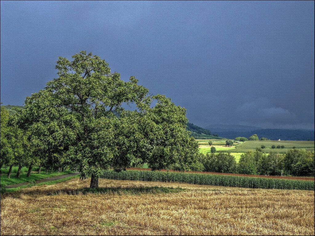 Gewitterstimmung über dem Kandertal. (1)