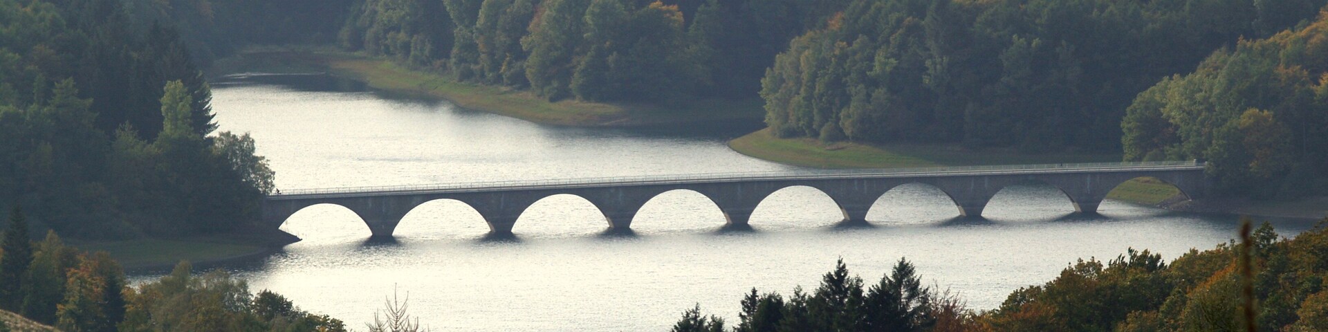 A bridge over a calm river surrounded by dense forest.