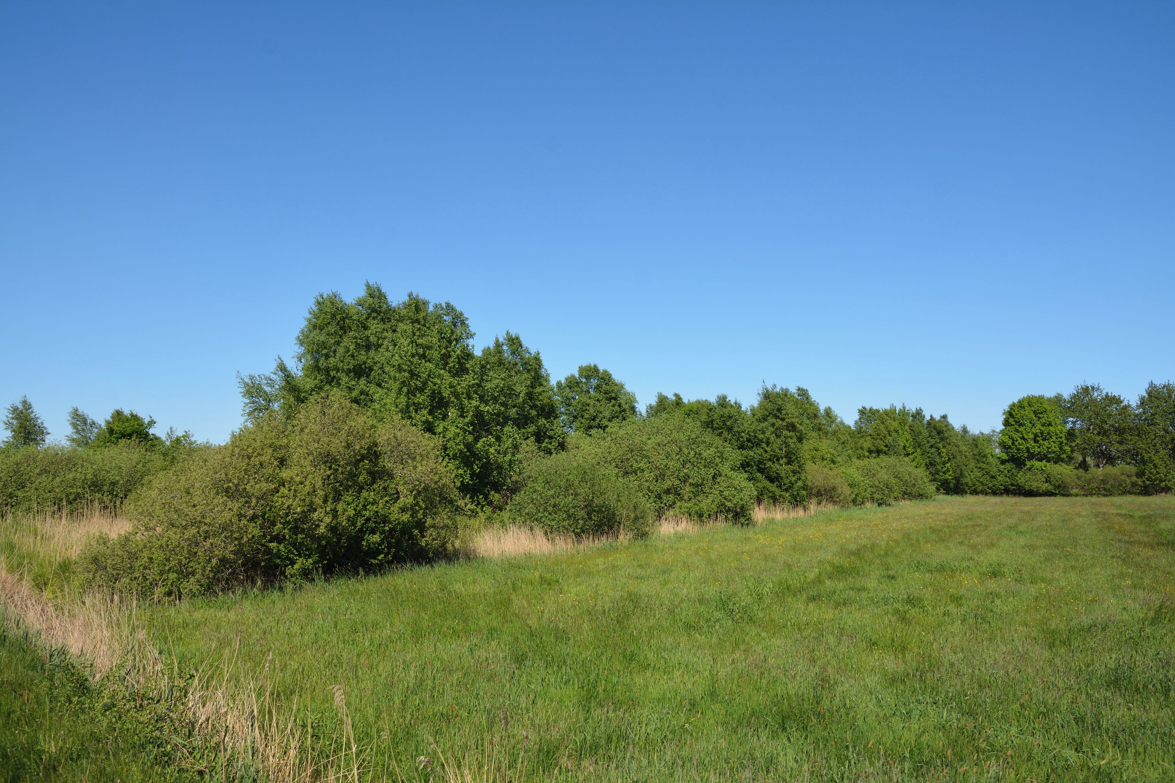 This is a picture of the protected area listed at WDPA under the ID