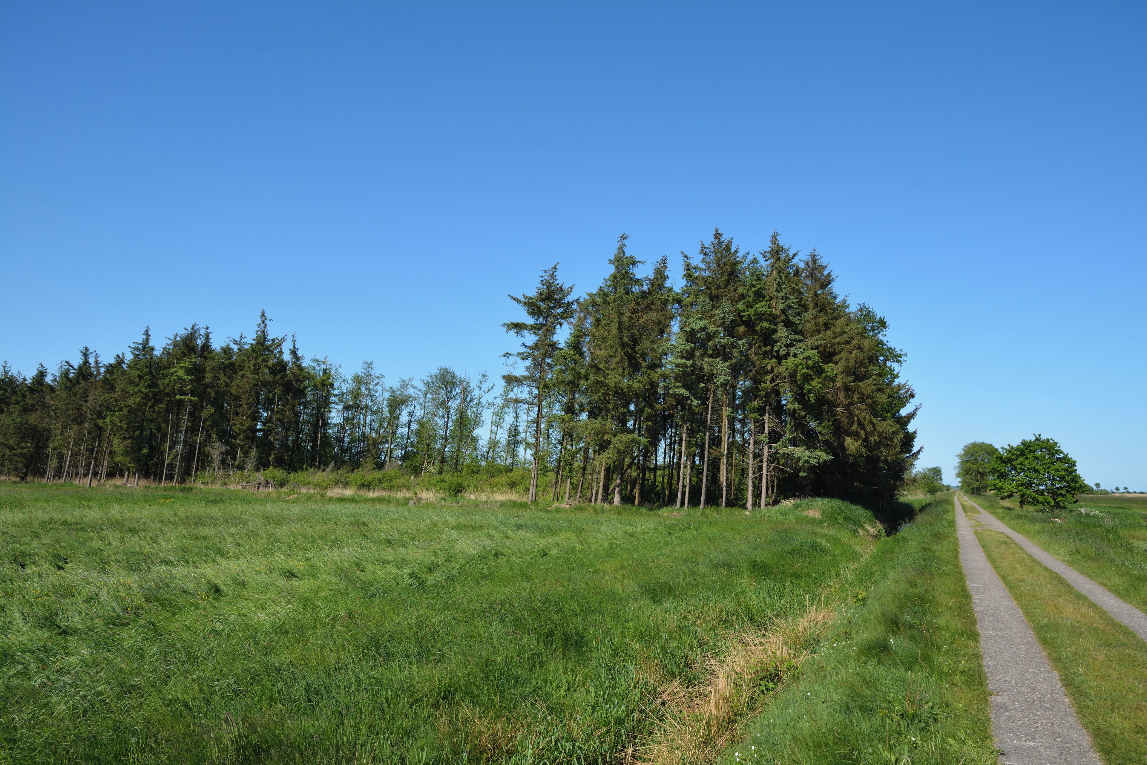 This is a picture of the protected area listed at WDPA under the ID