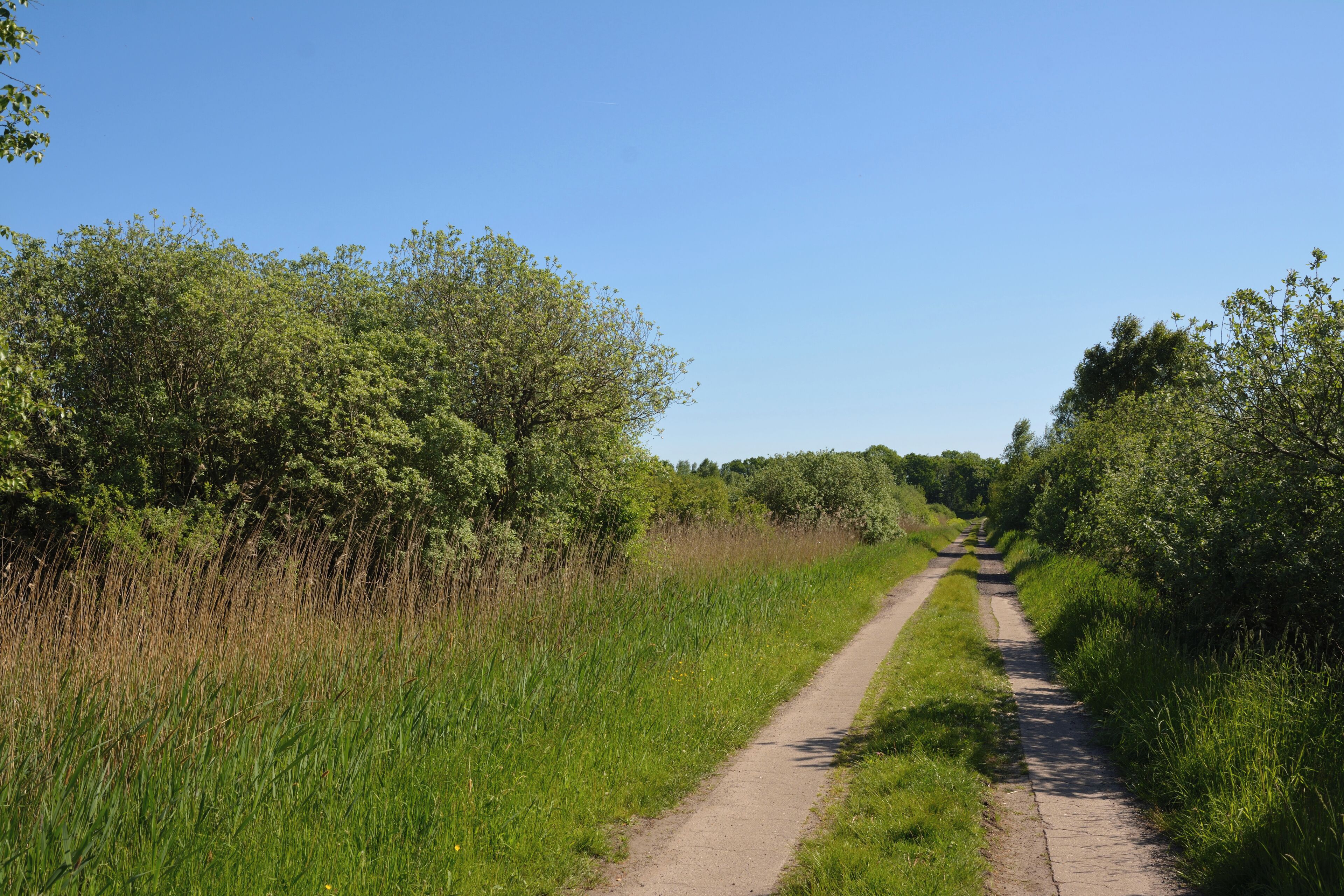 This is a picture of the protected area listed at WDPA under the ID