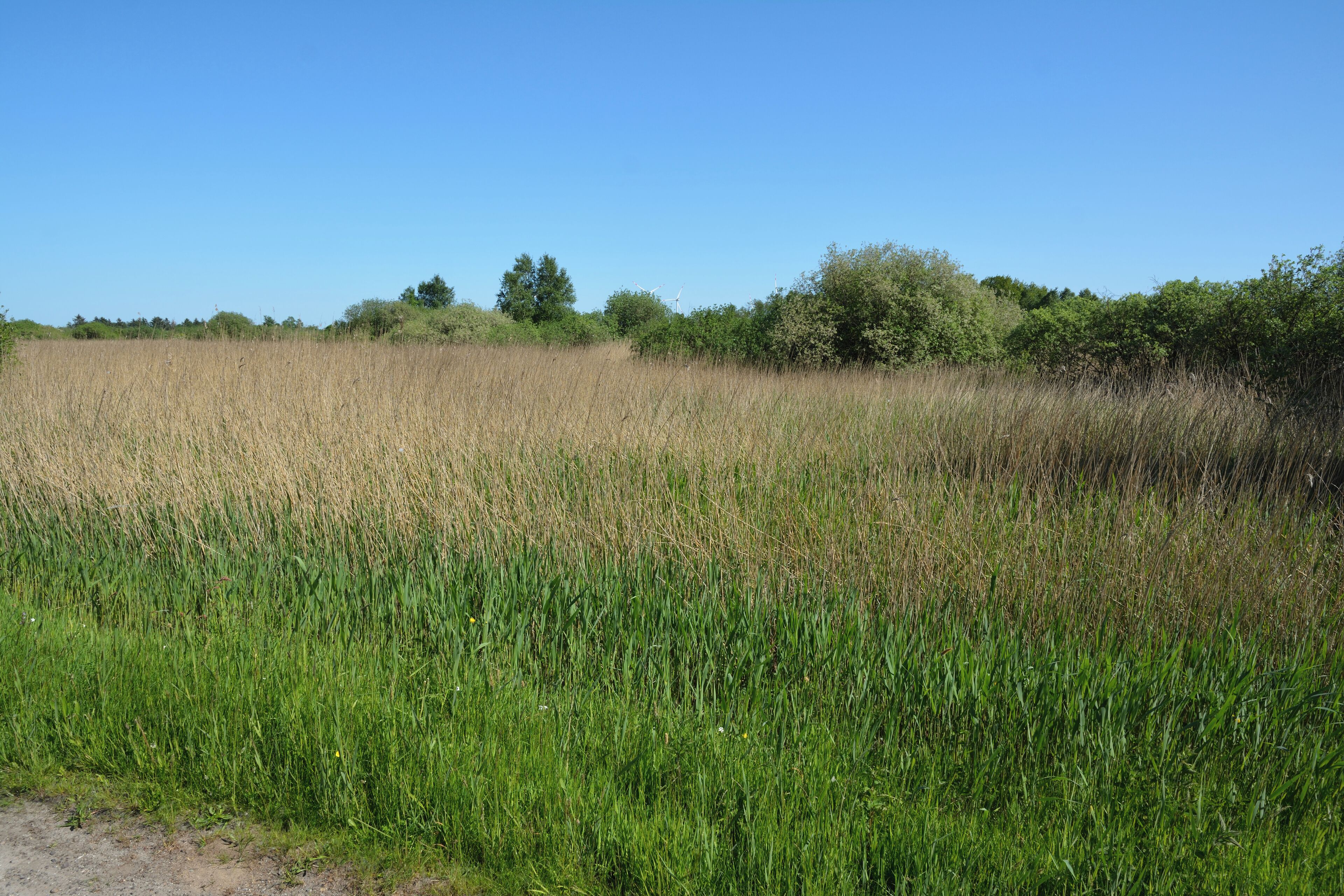 This is a picture of the protected area listed at WDPA under the ID