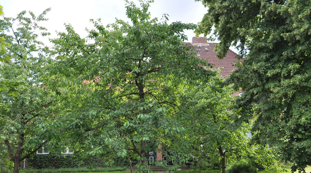 This is a photograph of an architectural monument. It is on the list of cultural monuments of Hemmoor, no. 35.202.200.024