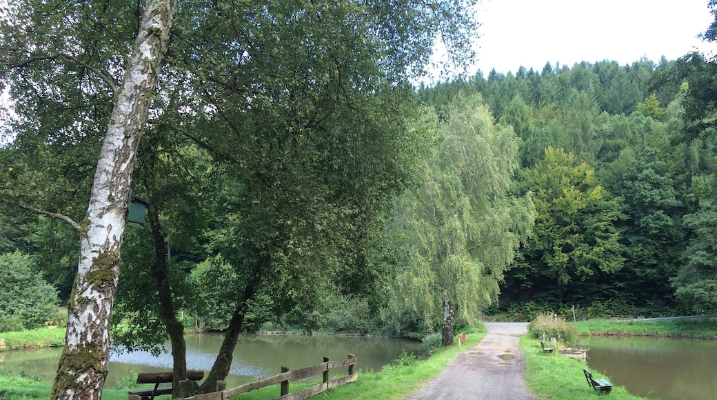 Der Eco Pfad Industrie- und Kulturgeschichte Helsa und weitere Wanderwege an den Fischteichen im Hergesbachtal südöstlich von Helsa