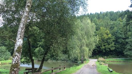Der Eco Pfad Industrie- und Kulturgeschichte Helsa und weitere Wanderwege an den Fischteichen im Hergesbachtal südöstlich von Helsa