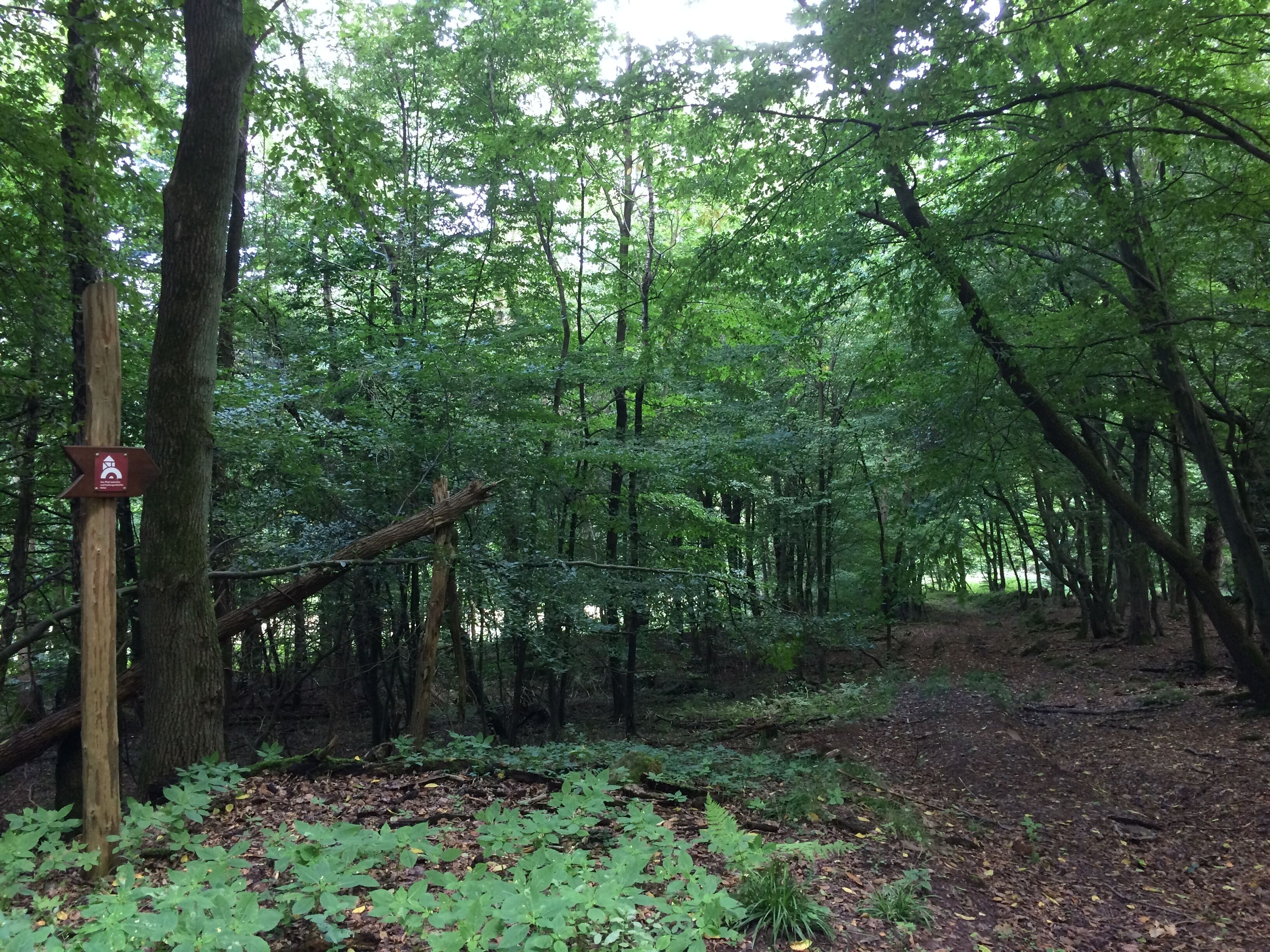 Der Eco Pfad Industrie- und Kulturgeschichte Helsa im Wedemanntal östlich von Helsa