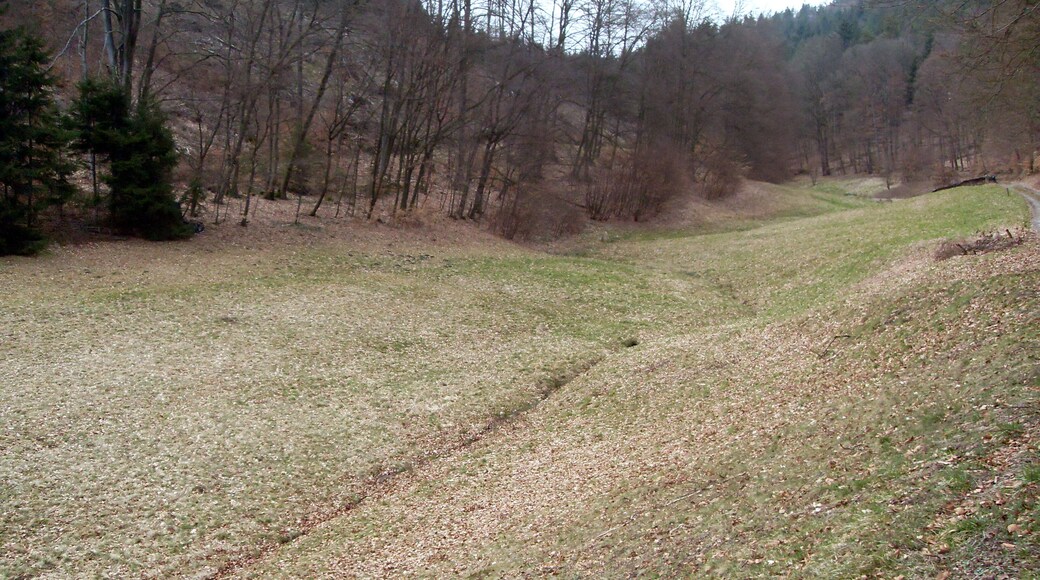 Rhein-Neckar-Kreis: Odenwald