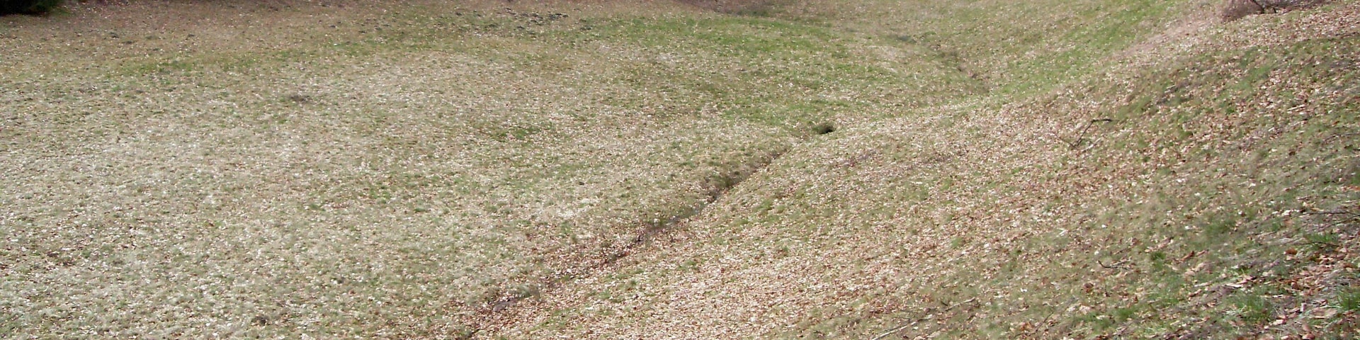 Rhein-Neckar-Kreis: Odenwald