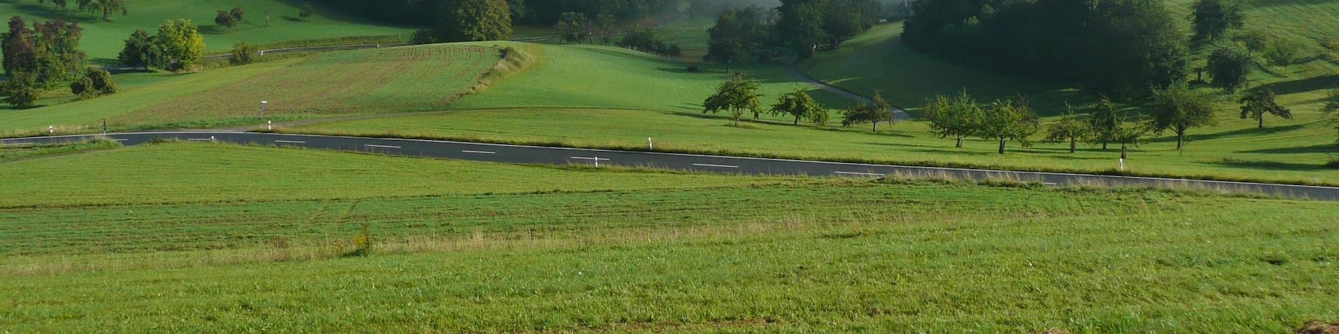 Blick Richtung Lampenhain