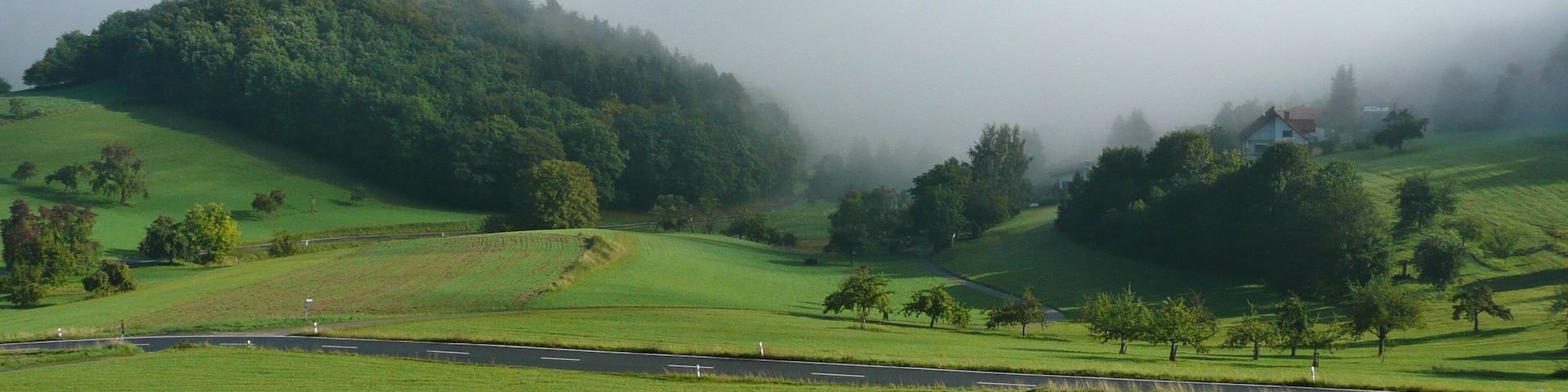 Blick Richtung Lampenhain