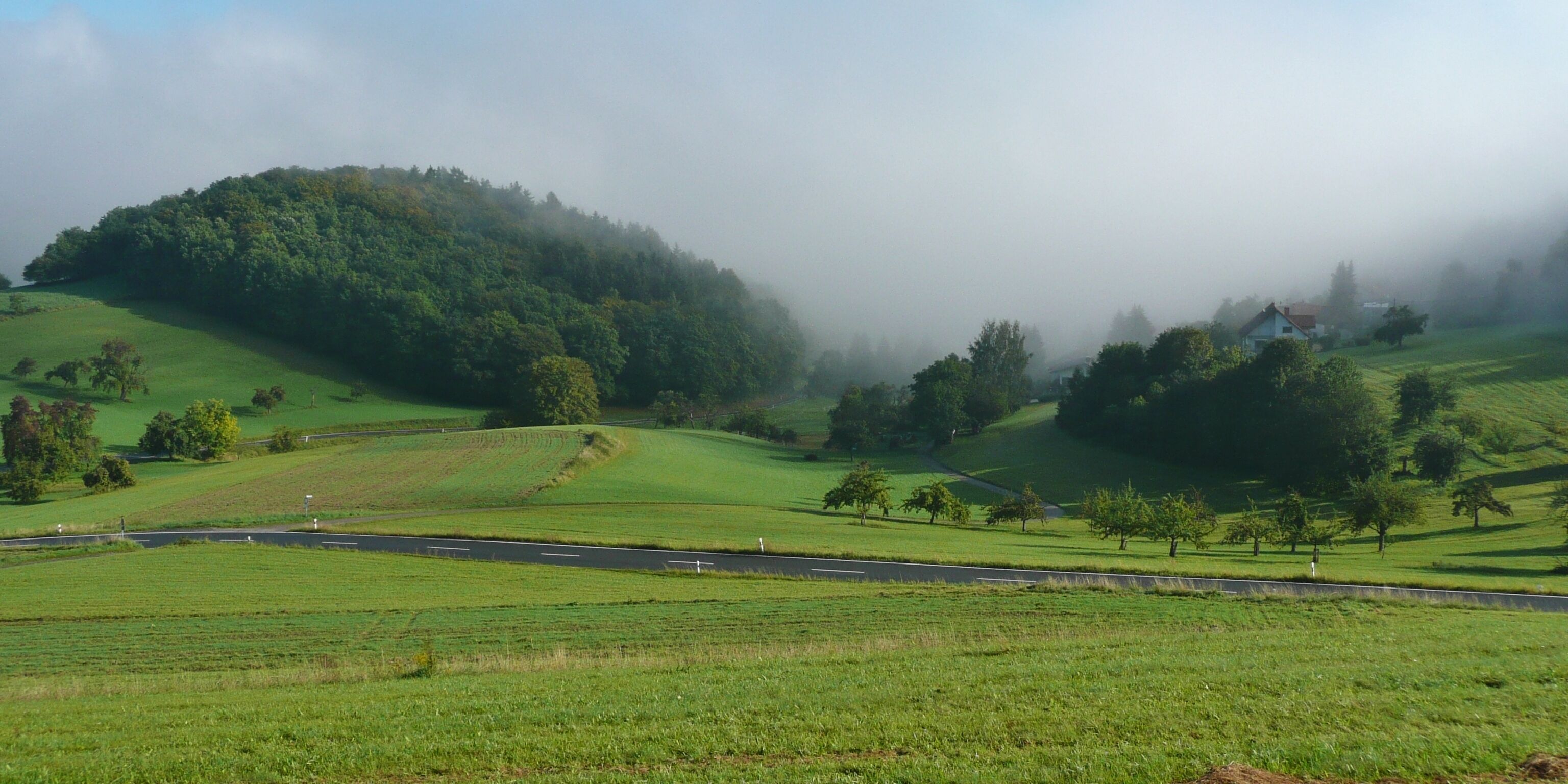 A misty valley with rolling green hills, a winding road, and scattered trees.