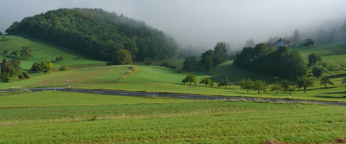 A misty valley with rolling green hills, a winding road, and scattered trees.