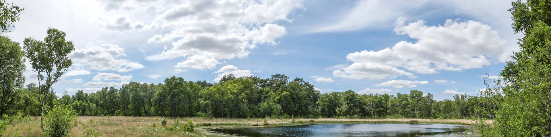 Heideweiher Naturschutz-und FFH-Gebiet Fürstenkuhle, Gescher