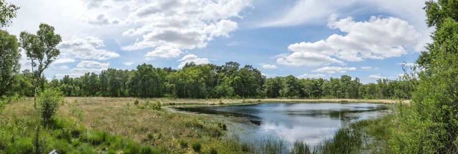 Heideweiher Naturschutz-und FFH-Gebiet Fürstenkuhle, Gescher