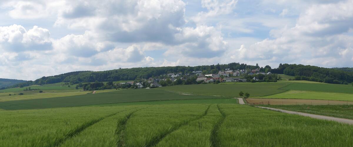 A rural landscape with green fields, a winding road, and a cluster of houses on a hill.