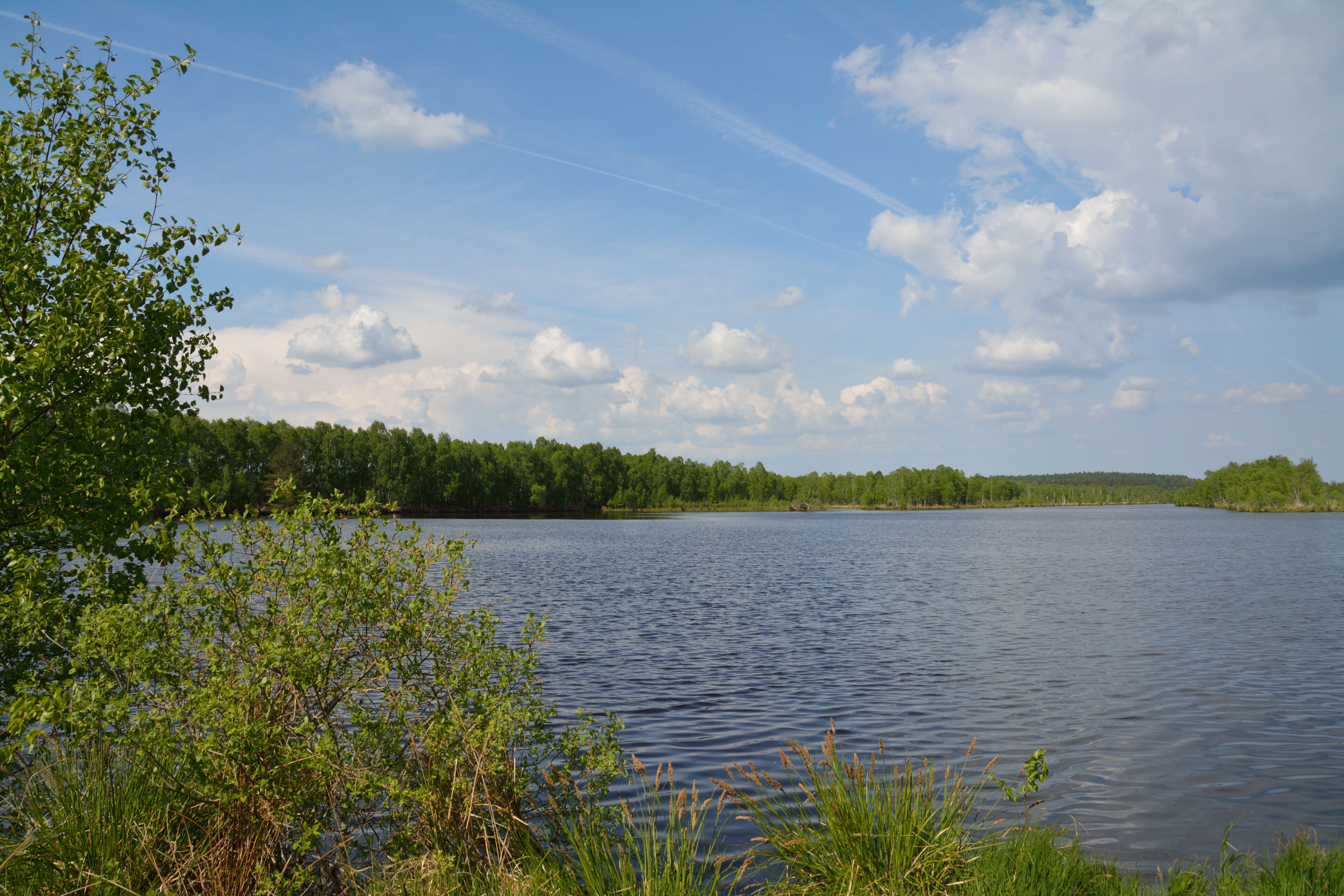 This is a picture of the protected area listed at WDPA under the ID