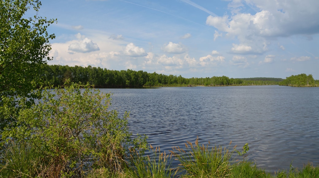 This is a picture of the protected area listed at WDPA under the ID