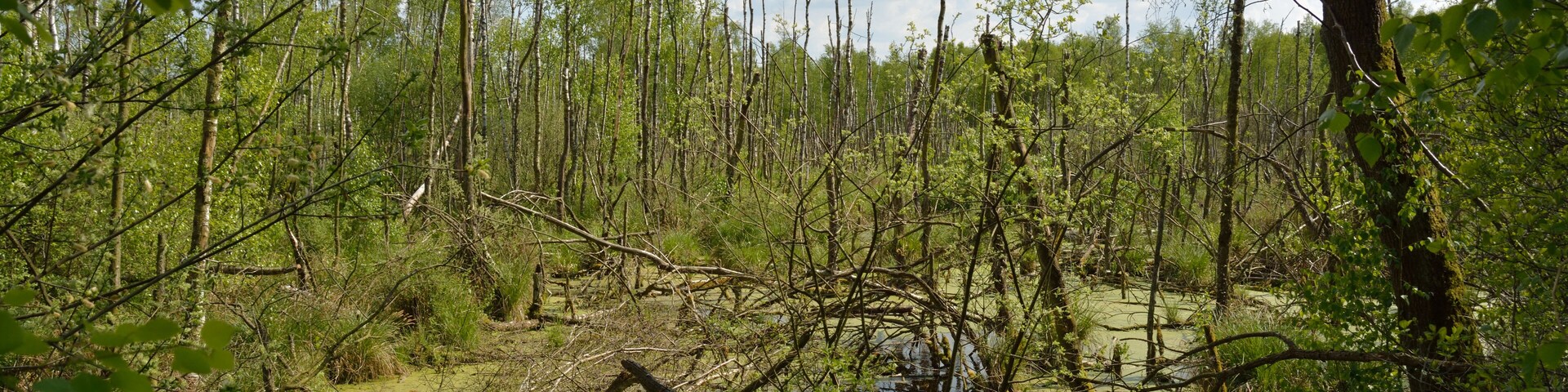 This is a picture of the protected area listed at WDPA under the ID