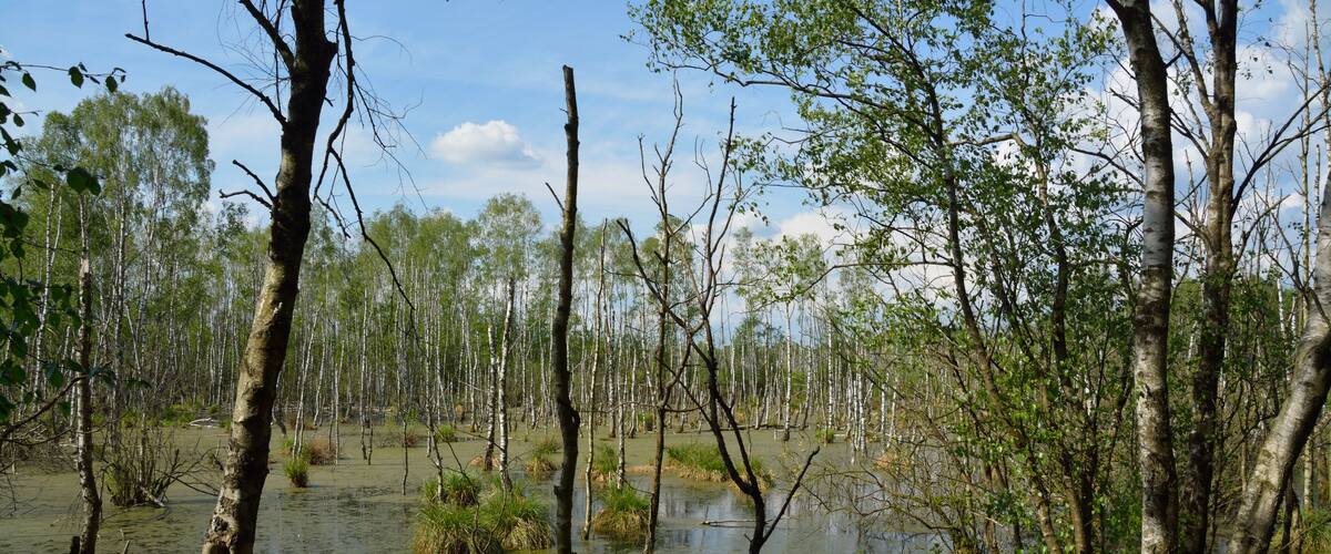 This is a picture of the protected area listed at WDPA under the ID