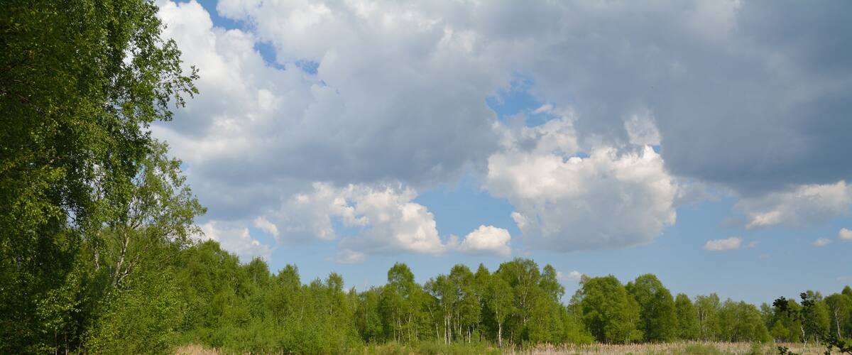 This is a picture of the protected area listed at WDPA under the ID